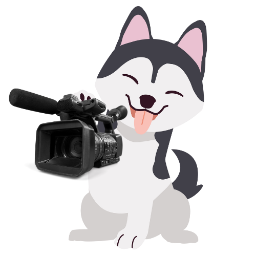 husky holding a video camera